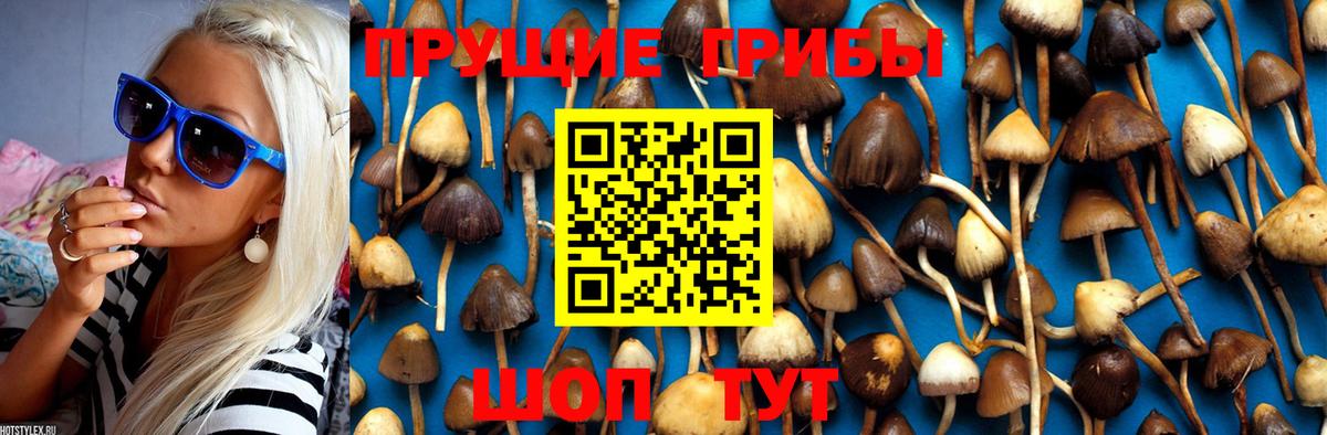 Галлюциногенные грибы Psilocybine cubensis  Вход с VPN  Нижнекамск 