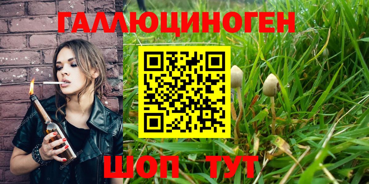 Галлюциногенные грибы Cubensis Нижнекамск